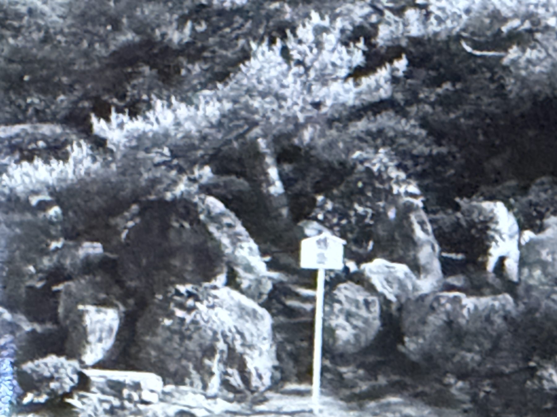 水草商店が所蔵する歴史写真 H007